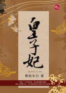 皇子妃秀木成林的txt