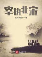 宰执北宋灰头小宝