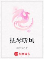 抚琴听风吟是啥意思