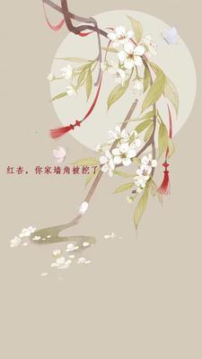 前夫要养我金萱