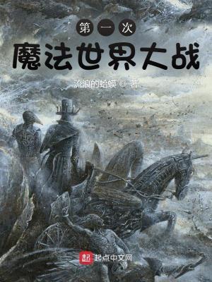 第一次魔法世界大战无错精校版