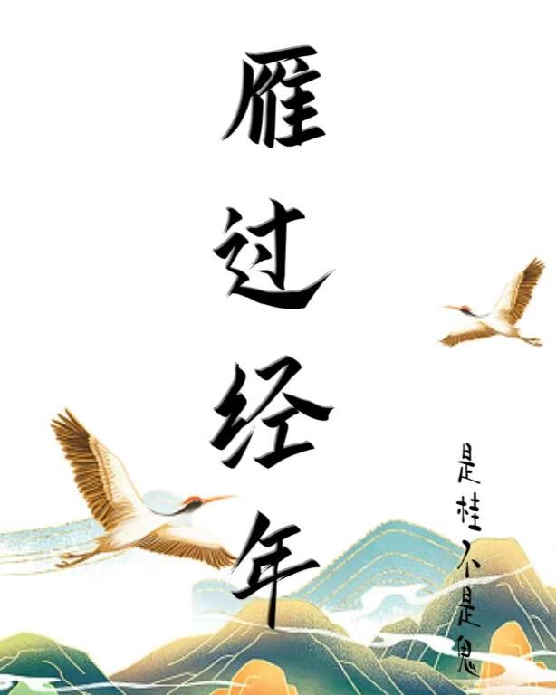 雁过留痕是什么生肖