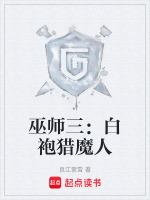巫师3袍子