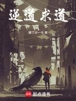 神武飞升之路