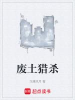 废土3.