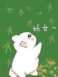 穿成合欢宗女修后晋江