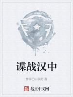 谍战汉中评语