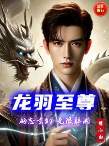 男主角叫龙羽的都市