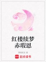 红楼qi梦