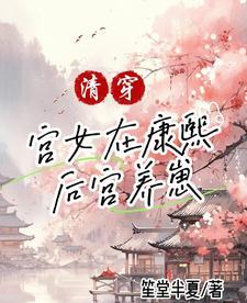 清穿宫女在康熙后宫养崽完整版在线免