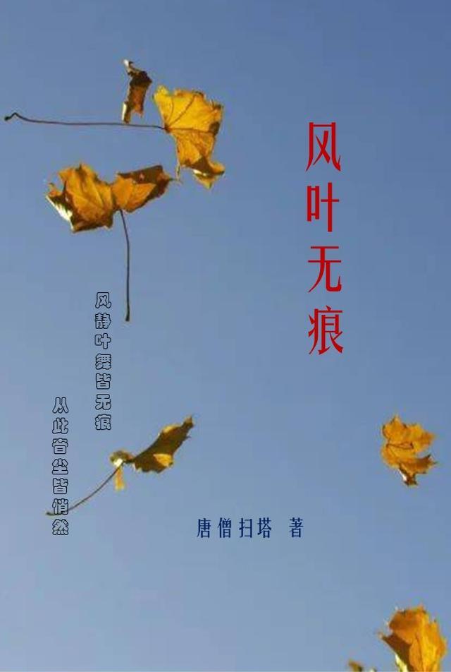有叶无风的