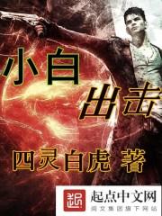 小白n2