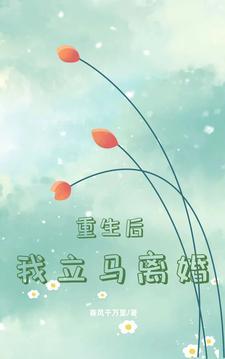 提出离婚后我又重生了
