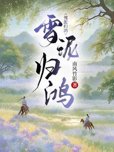 雪泥归鸿gl