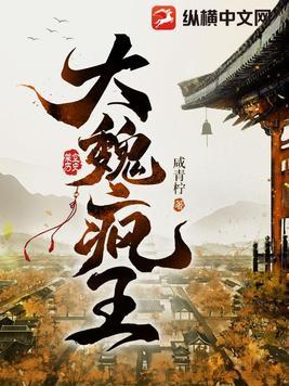 大魏疯王男主几个老婆