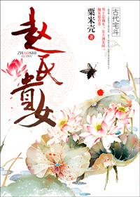 赵氏贵女作者粟米壳