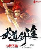 剑道武道修行录