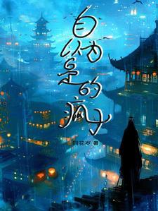 自以为是的疯子是什么歌