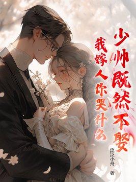 少帅要我