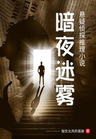 暗夜迷踪电影解析