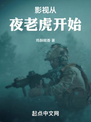 影视夜老虎开始免费阅读无弹窗