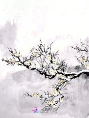 高枝难攀视频大结局后续