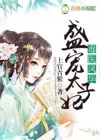 毒医风华盛宠太子妃有声