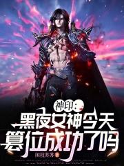 神印黑夜女神今天篡位成功了吗最新