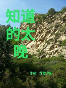 知道的时候已经晚了