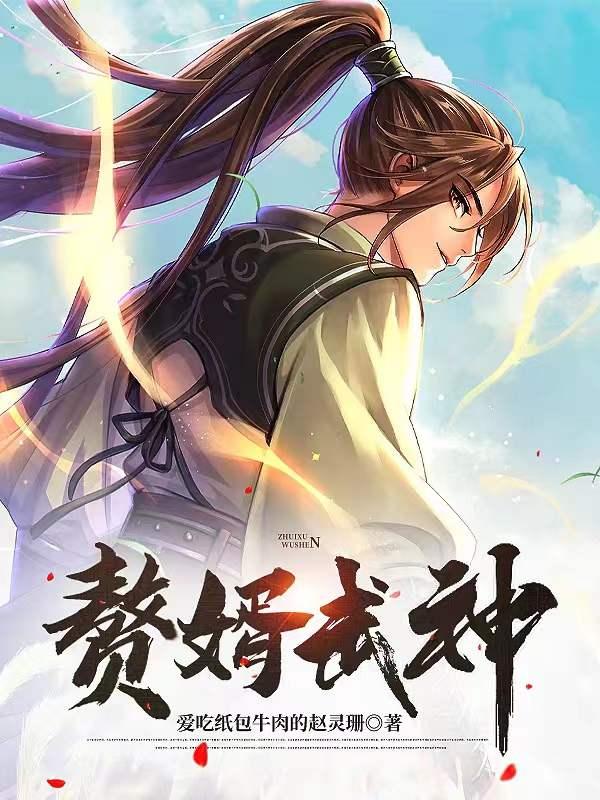 赘婿武力