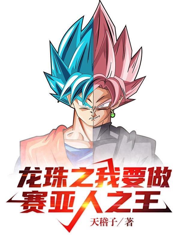 龙珠之我是赛亚人王子