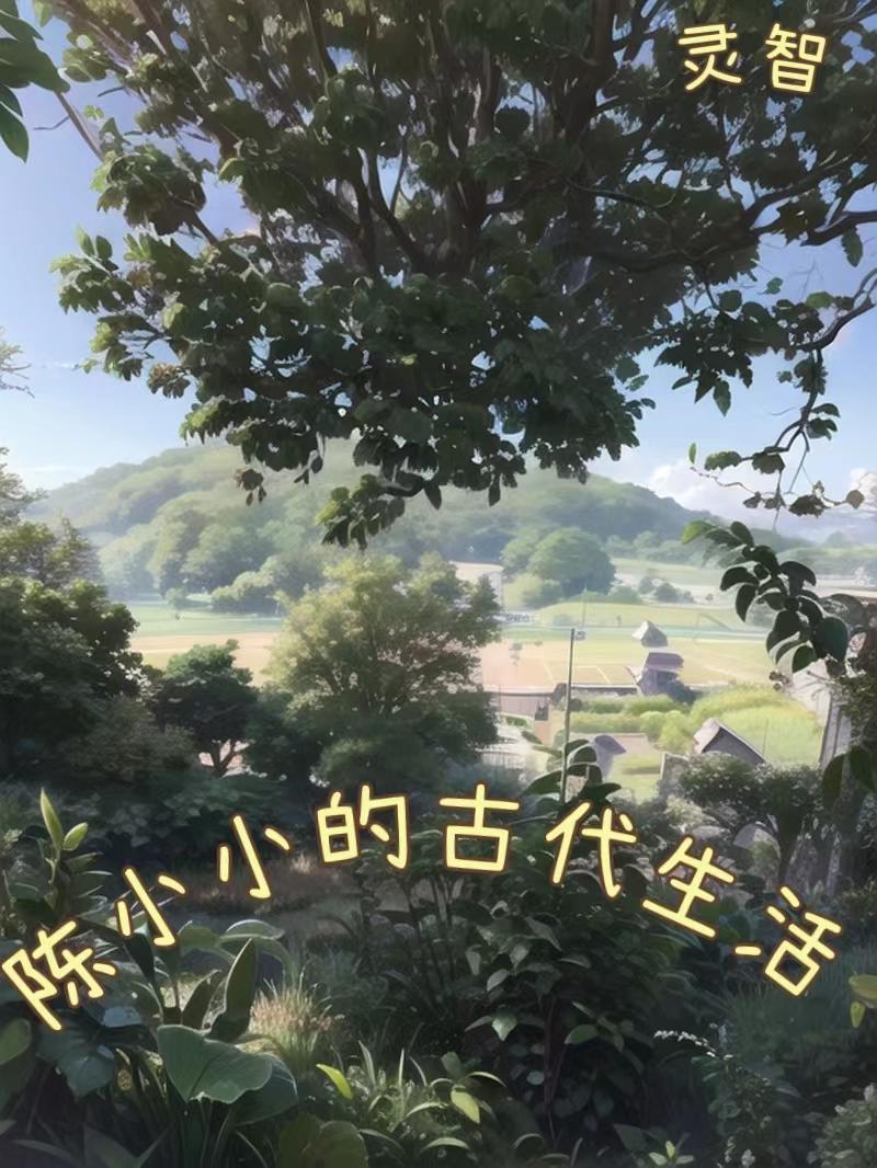 陈小小番外