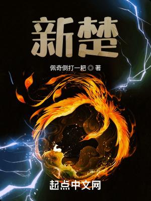 新楚文化版面费
