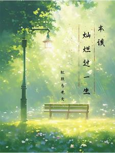 本该灿烂过一生是什么歌