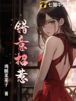 错意是什么意思