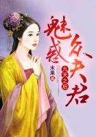九天之后魅惑众夫君电子书免费全集