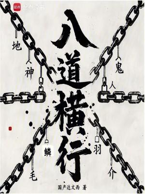 八横八纵简图