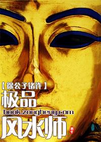 极品风水师再现江湖