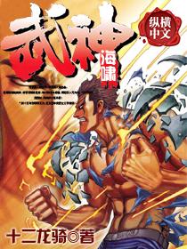 武神海啸 反重力境界