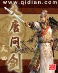 大唐问剑全本txt