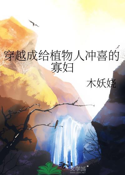 穿成给植物人冲喜的寡妇 一起看书