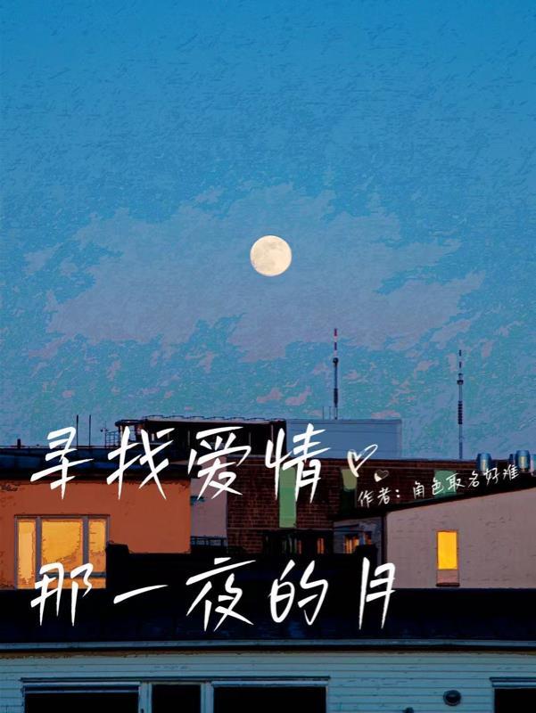 寻找爱情那一页的月讲的什么