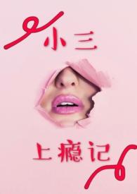 小三上瘾记(出轨