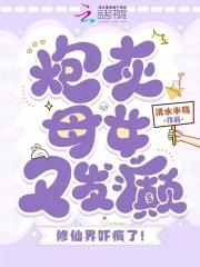 炮灰的母亲