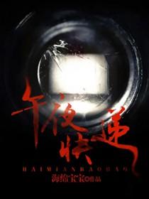 午夜快递公司