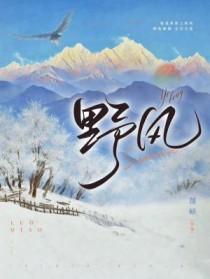 野风药业