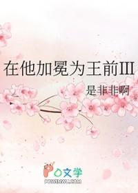 在他加冕为王前3TXT