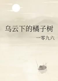 乌云下的橘子树讲的是什么故事
