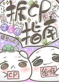 拆CP指南[娱乐圈