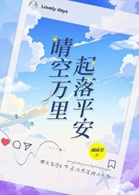 起落平安作者砚疏星